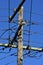 Electrical wires junction