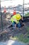 Electrical worker digs to reach a buried cable