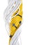Electrical yellow and white cables