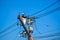 Electrician lineman repairing work on electric post power pole