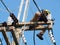 Electrician man working at height and dangerous ,high voltage power line