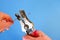 The electrician removes the insulation from the wire using a special stripper tool. Close-up on hands on a blue background