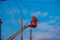 Electrician repairing wire of the power line with bucket hydraulic lifting platform on blue sky