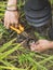 An electrician safely handles a faulty wire of a garden lamp with pliers. Electrical repair service at the garden of a house