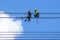 Electrician work installation of high voltage cable in high voltage safely and systematically over and blue sky background