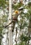 Electrician working repairing street lamp