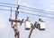 Electricians repairing wire on electricity power pole with hydraulic platform.