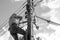 Electricians working on power pole connecting cables with clear sky background.