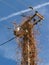 Electricity pillar lamppost pylon
