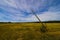 Electricity pole bent by strong winds, Empurda