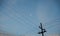 Electricity post, small moon with blue sky background