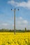 Electricity power line pole in close up, standing in a vibrant yellow field of rape seed.