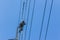Electricity Power-Lines Maintenance Worker