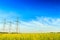 Electricity powerlines in rapeseed field