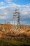 Electricity pylons in the field