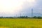 Electricity towers rice field with high voltage power pylons countryside
