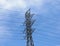 Electricity transmission tower