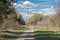 Electricity transmission towers and power lines in forest.