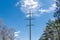 Electricity transmission towers and power lines in forest.