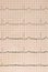 Electro-encephalogramme