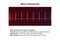 Electrocardiogram displaying sinus tachycardia, 3D illustration