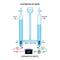 Electrolysis of water forming Hydrogen and Oxygen