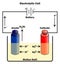 Electrolytic cell infographic diagram with components