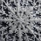 An electron microscope image revealing the complex structure of a snowflake at the microscopic level1