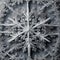 An electron microscope image revealing the complex structure of a snowflake at the microscopic level3