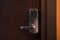 Electronic Hotel door handle