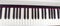 Electronic piano keys. Musical instruments hobby