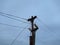 electronic pole with wires against the gray sky closeup photo