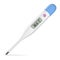 Electronic thermometer