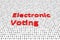 Electronic voting