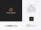 Elegan Luxury Mature Company Logo Template for Triangle Logo