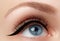 Elegance close-up of beautiful female eye with fashion eyeshadow