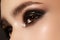 Elegance close-up of female eye with classic dark brown smoky