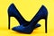 Elegance and fashion concept. Shoes in dark blue color