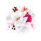 Elegance flowers bouquet of white beautiful Magnolias, color rose and tulip . Composition with blossom flowers. Vector