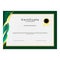 Elegance graduation certificate border template design