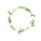 Elegance green leaves and white flowers decorative round border. Watercolor.