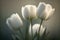 Elegance in Simplicity: White Tulips on a Light Blurred Background