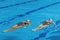 The elegance of a synchronized swimming female duet during their dedicated training session, mastering intricate moves with