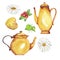 Elegance yellow coffeepot or teapot, cup, camomile, herb, berry and cookie. Watercolor.