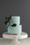 Elegant 2 Tier Wedding Cake With Texture And Edible Sugar Flowers