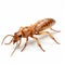 Elegant 3d Termite On White Background