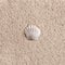 Elegant aesthetic subtle minimalist summer vacation concept, one sea shell on neutral beige beach sand background