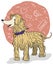 Elegant Afghan Hound with Doodles around it, Vector Illustration