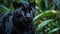 Elegant and agile black panther staring alertly in tropical rainforest