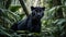 Elegant and agile black panther staring alertly in tropical rainforest